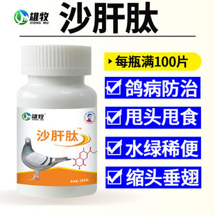 雄牧沙肝肽正品赛信鸽子专用调理肠道腹拉泻绿稀水便缩头炸毛特效
