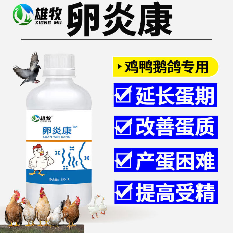 卵炎康专治鸽子不下蛋禽用鸡鸭鹅催蛋素下蛋不受精可孵化催蛋专用