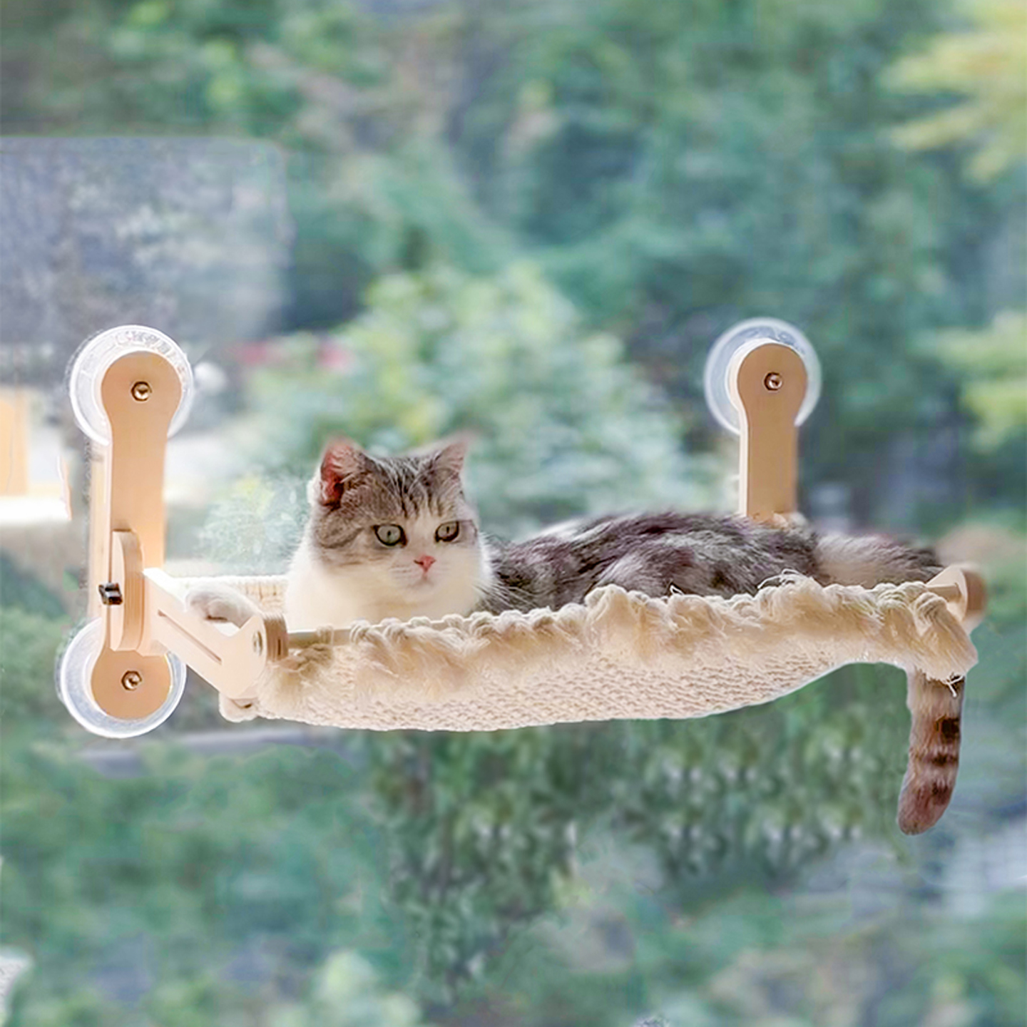 猫咕哩吸盘猫吊床阳台玻璃窗户猫咪挂窝免打孔秋千窗边悬挂式猫窝