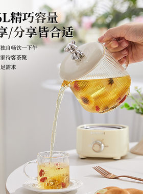 养生壶宿舍小功率烧水壶300w瓦保温加热多功能低功率电热水壶电炖