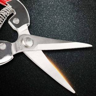 极速Garden Hand Pruner Fruit Trees Pruning ShPears for Outdo