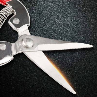 极速Garden Hand Pruner Fruit Trees Pruning ShPears for Outdo