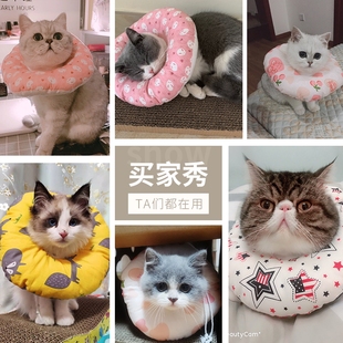 极速伊丽莎白圈猫咪头套小型犬防舔防咬颈圈O狗狗耻辱项圈宠物绝