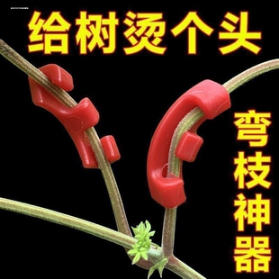 果树扭枝夹新型盆景造型拿弯工具新枝定型夹别枝开角拉枝器弯枝夹