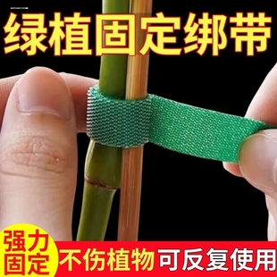 绿植捆绑扎带绿色魔术贴粘扣带植物捆绑不伤植物支撑固定扎带绑花