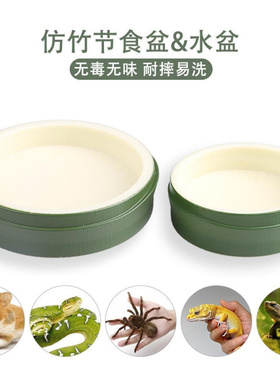 树叶食盆爬虫水盆陆龟守宫爬宠喝水碗塑料用品绿色生态仿真