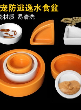 爬宠陶瓷防逃逸活食面包虫大麦虫食盆蜥蜴守宫鬃狮活食碗玉米虫盆