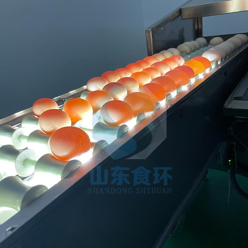 蛋制品工厂用洗蛋机鸡蛋清洗机设备10000枚单双排商用洗蛋机