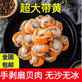 新鲜冷冻超大个扇贝肉海鲜红贝烧烤商用蒜蓉粉丝无冰衣扇贝肉
