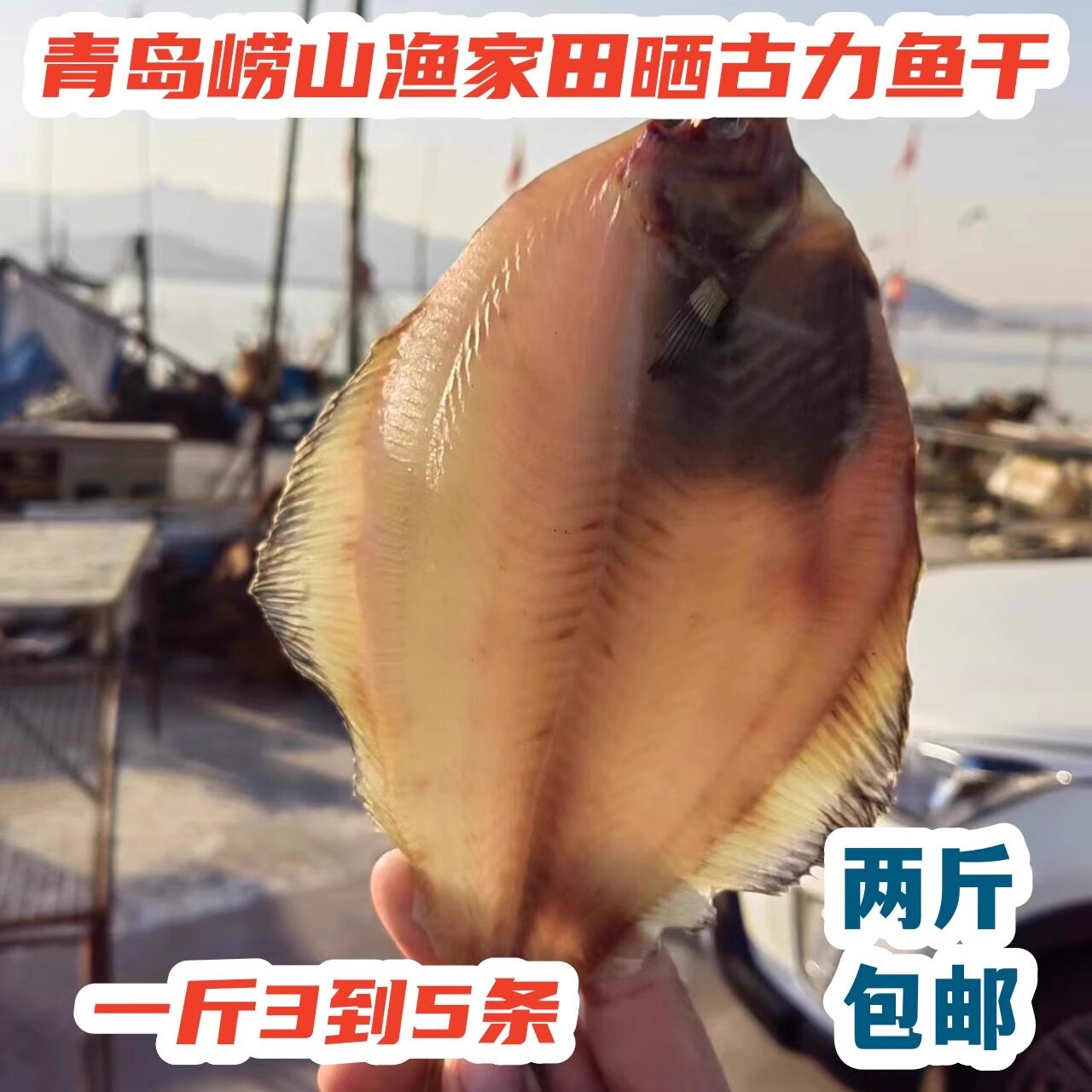 青岛崂山渔家特产田晒古力鱼干