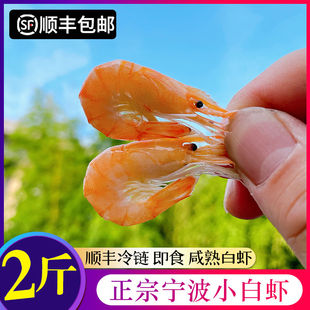 【顺丰】宁波特产熟咸小白虾即食盐水虾白米江白虾咸潮虾干咸烤明