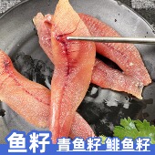 青鱼籽新鲜鱼籽鲜活即食海鲜冷冻鱼卵鲜鱼子鲱鱼籽鱼子酱