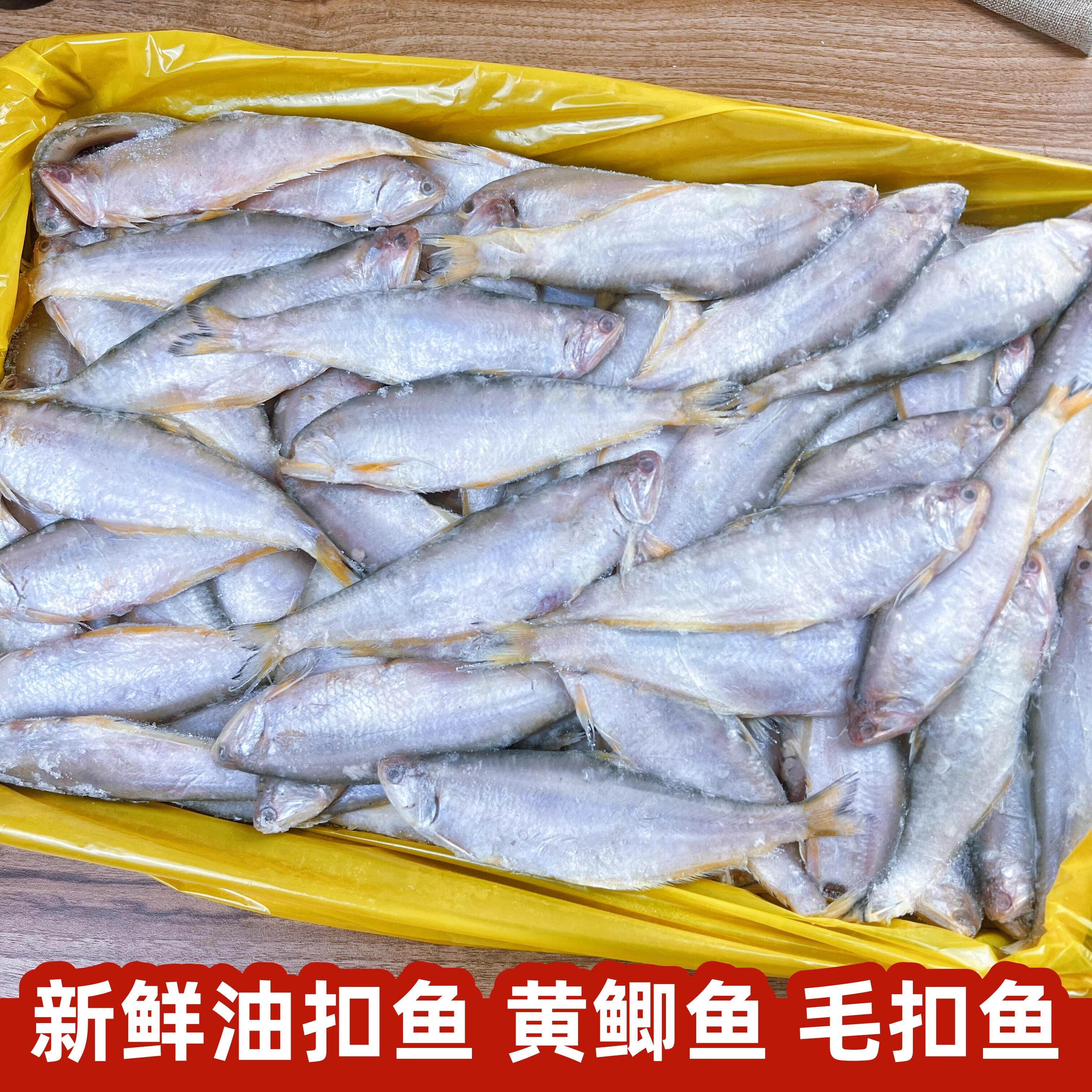 黄鲫鱼油扣鲜活海鲜新鲜马口
