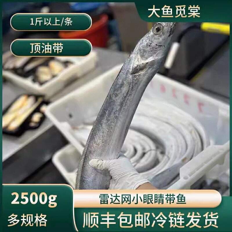 舟山雷达网小眼睛新鲜带鱼