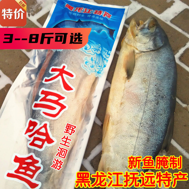 乌苏里江大马哈鱼鲜木桶腌制黑
