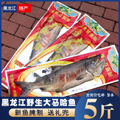 大马哈鱼新鲜腌制咸黑龙江抚远特