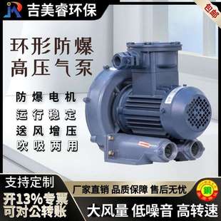 3工業(yè)防爆高壓鼓風機2.2KW粉塵防爆 特殊氣體管道輸送防爆風機