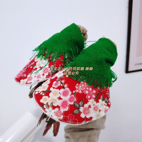 鸡妈妈款鸟衣服鹦鹉披风玄凤加厚保暖外出服鹦鹉用品鸟用品