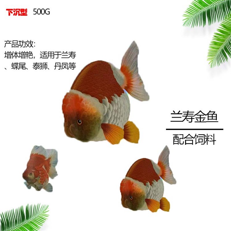 印尚红兰寿金鱼虎鱼招财猫鹦鹉锦鲤蓝鲨蝶尾泰狮配合饲料下沉型
