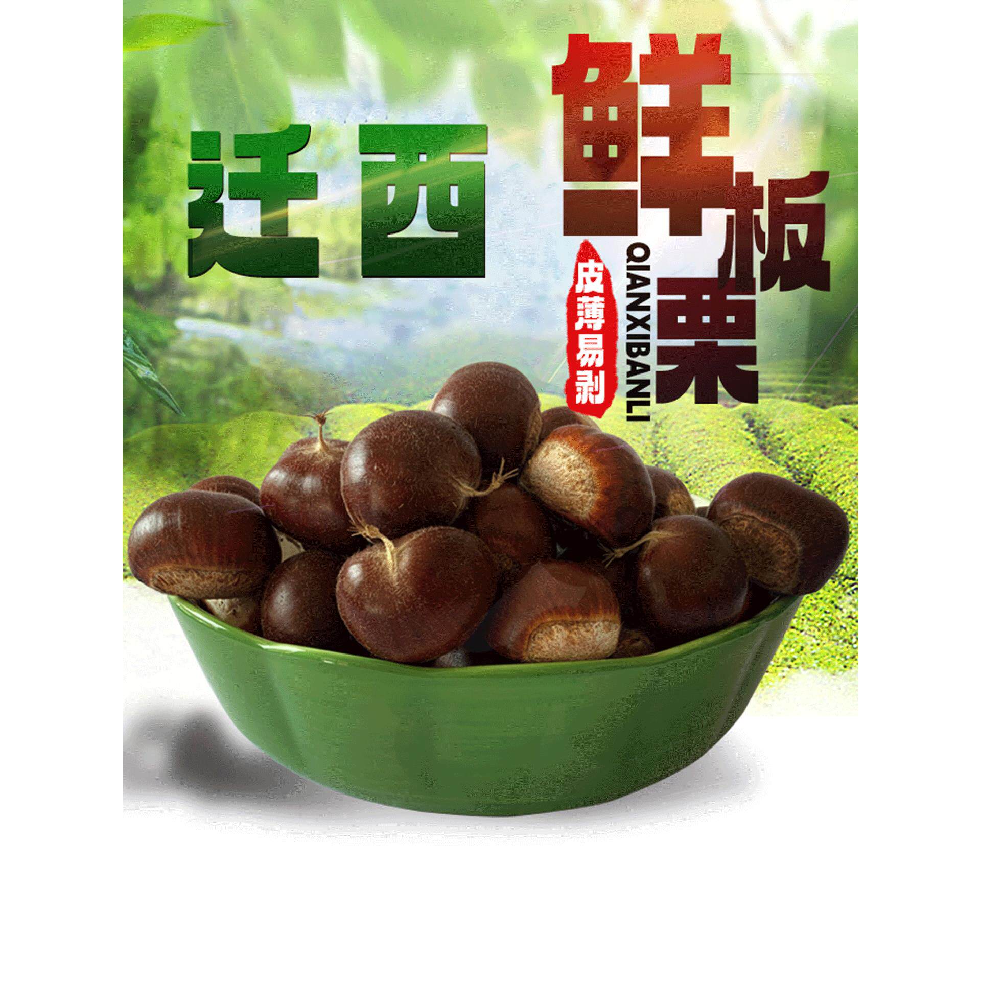 迁西板栗生新鲜栗子2025新鲜板栗油栗野生板栗遵化板栗仁产地直发