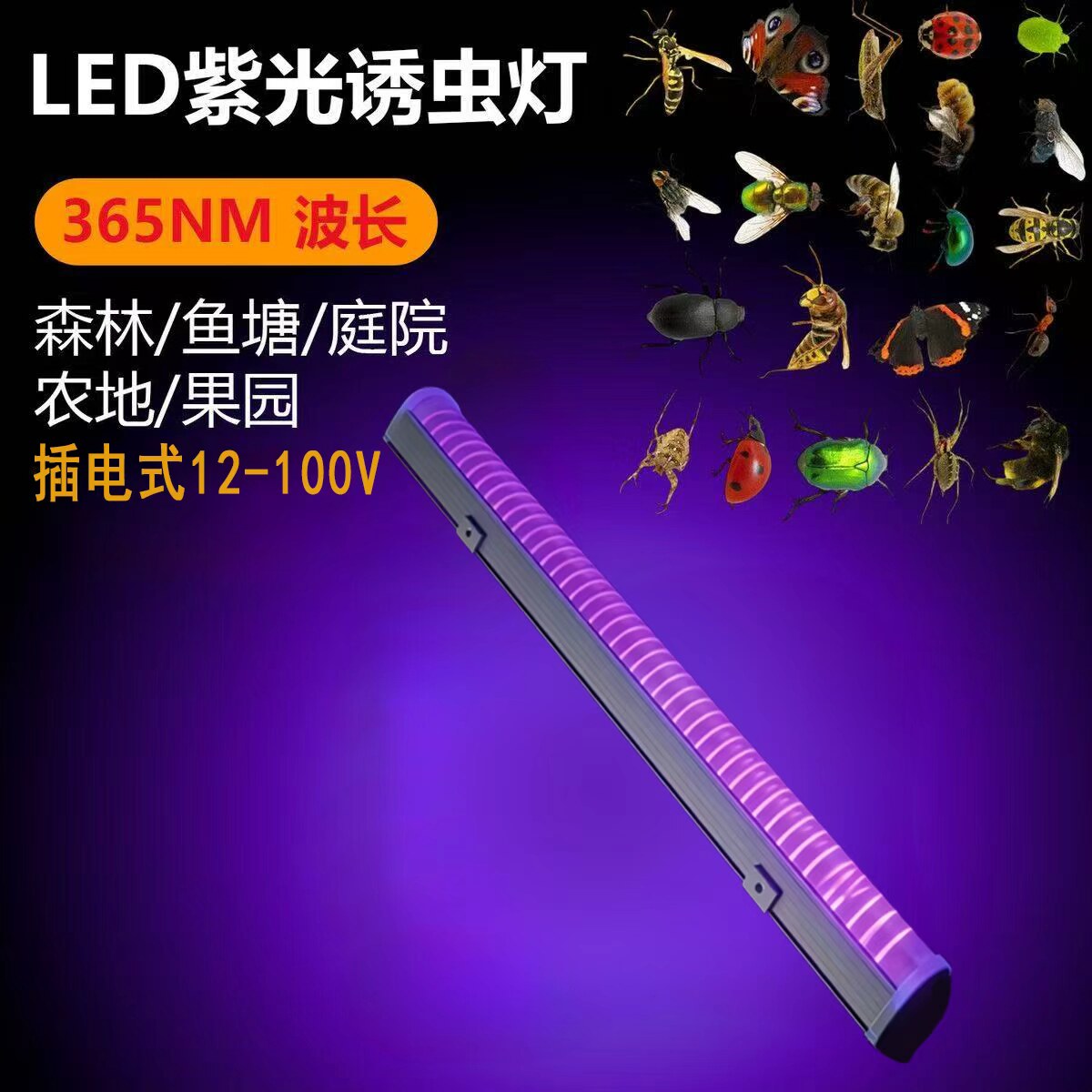 低压LED紫光诱虫灯引虫灯果园养殖水产养殖蝼蛄喇喇蛄知了诱捕灯