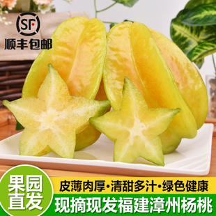 下河杨桃 五角星阳桃整箱顺丰 包邮 5斤树熟香蜜甜杨桃新鲜水果当季