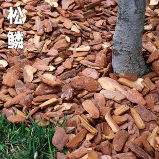 松鳞松树皮造景园林市政绿化有机覆盖物花园庭院树穴树坑打磨树皮