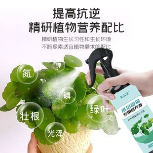 水培植物营养液通用型水菖蒲水竹富贵竹吊兰郁金香铜钱草水养花肥