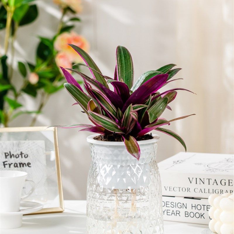 多功能自吸水懒人塑料花盆插花种植仿玻璃透明桌面床头窗台摆件,鲜花速递/花卉仿真/绿植园艺,花盆,淘宝优惠券,粉丝福利购,淘宝优惠卷