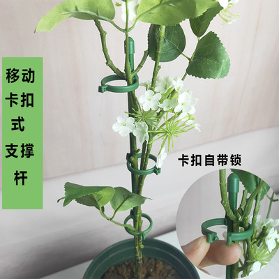 花架支撑杆配件爬藤蝴蝶兰花专用支架防倒龟背竹花杆金钱树支架