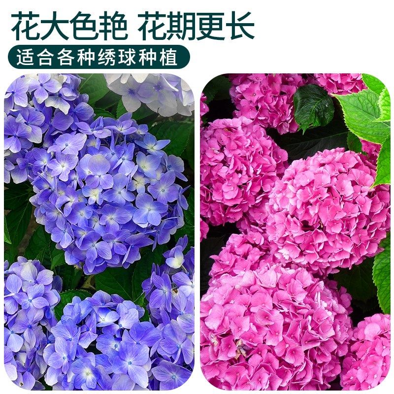 绣球花专用土营养土腐叶土泥炭土火山石颗粒土绿植通用型大包肥料,鲜花速递/花卉仿真/绿植园艺,介质/营养土,淘宝优惠券,粉丝福利购,淘宝优惠卷