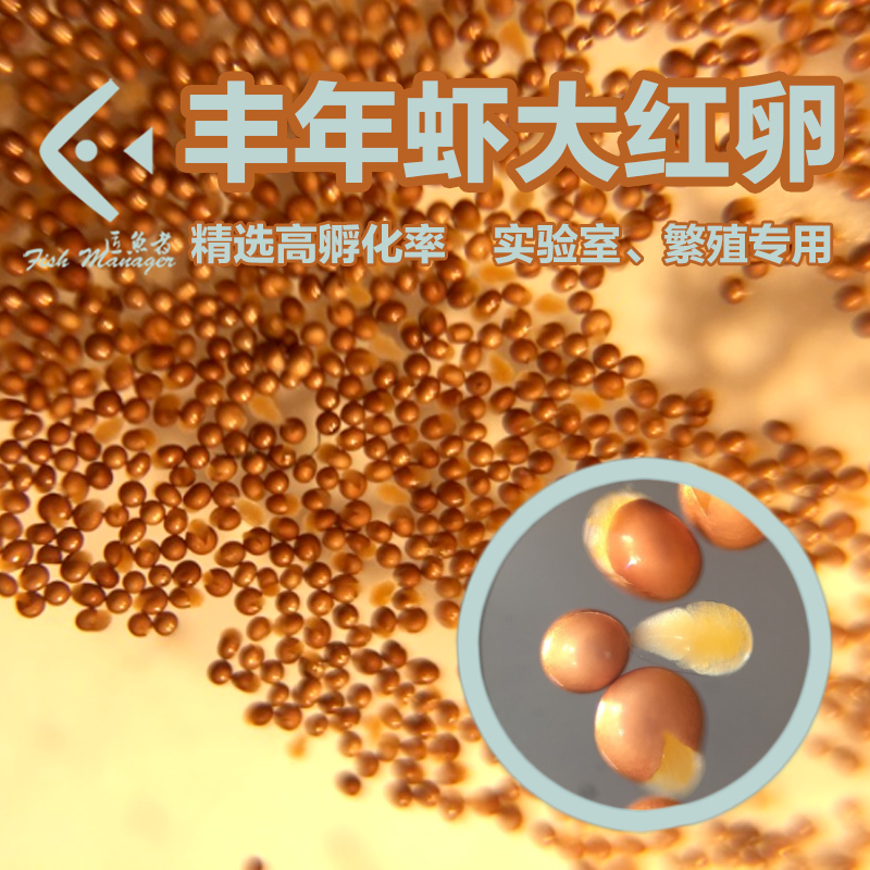 丰年虾卵大红卵卤虫卵实验室观赏鱼繁殖专用卤幼鱼苗开口饲料400g