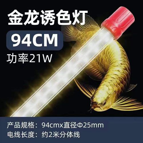 鱼缸灯LED灯照明灯防水水族箱金龙鱼灯黄色鹦鹉鱼黄色锦鲤专用灯