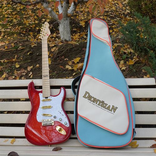 戴尼森电吉他琴包加厚双肩背包可手提防水电吉它专用琴包高颜值