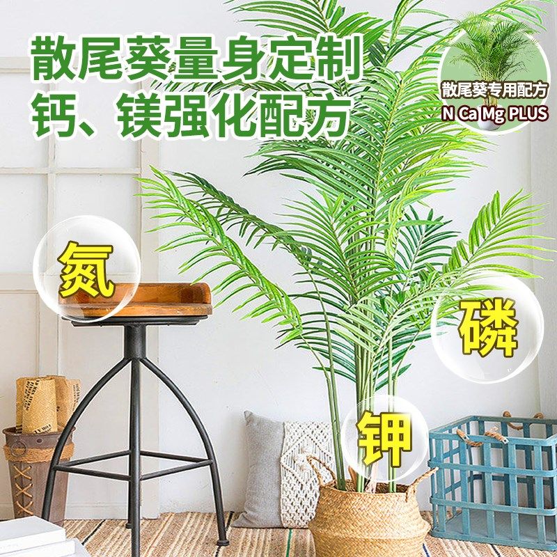 散尾葵专用营养液免稀释叶子发黄威夷竹凤尾竹专用肥料盆栽液体肥,鲜花速递/花卉仿真/绿植园艺,家庭园艺肥料,淘宝优惠券,粉丝福利购,淘宝优惠卷