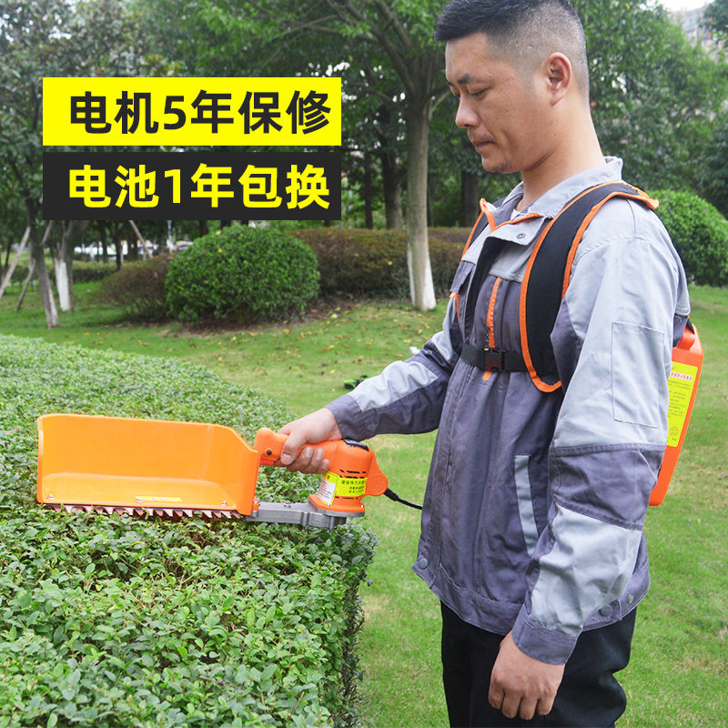 24V无刷电动i采茶机单人小型自动便携式充电茶叶采摘修剪机绿篱机