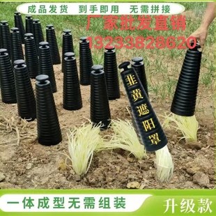 韭黄种植黑罩子家用隔光用套筒韭菜遮光筒塑料罩防晒农业圆柱盖子
