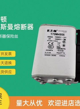 全新快速熔断器保险170M4921 170M4922 170M4923 17Z0M4924