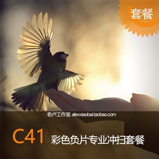 135/120 C41 彩色负片专业冲洗扫描套餐 胶片冲扫 胶卷冲扫