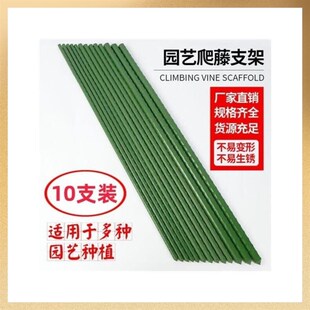 家用菜园爬藤架耐用花架大棚瓜果骨架防倒L丝瓜支撑杆支架杆塑料