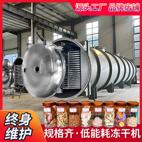大型冻干机流水线 小型冻干设备 食品化工多中用途真空冷冻干燥机