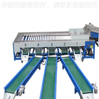 带枝带叶芦沙桔分级带枝叶果蔬葫棒式机分选机螺旋式SGG选果糖机