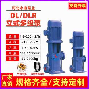 多级离心泵高层建筑供水增压泵DLR热水循环锅炉补水泵 直销DL立式