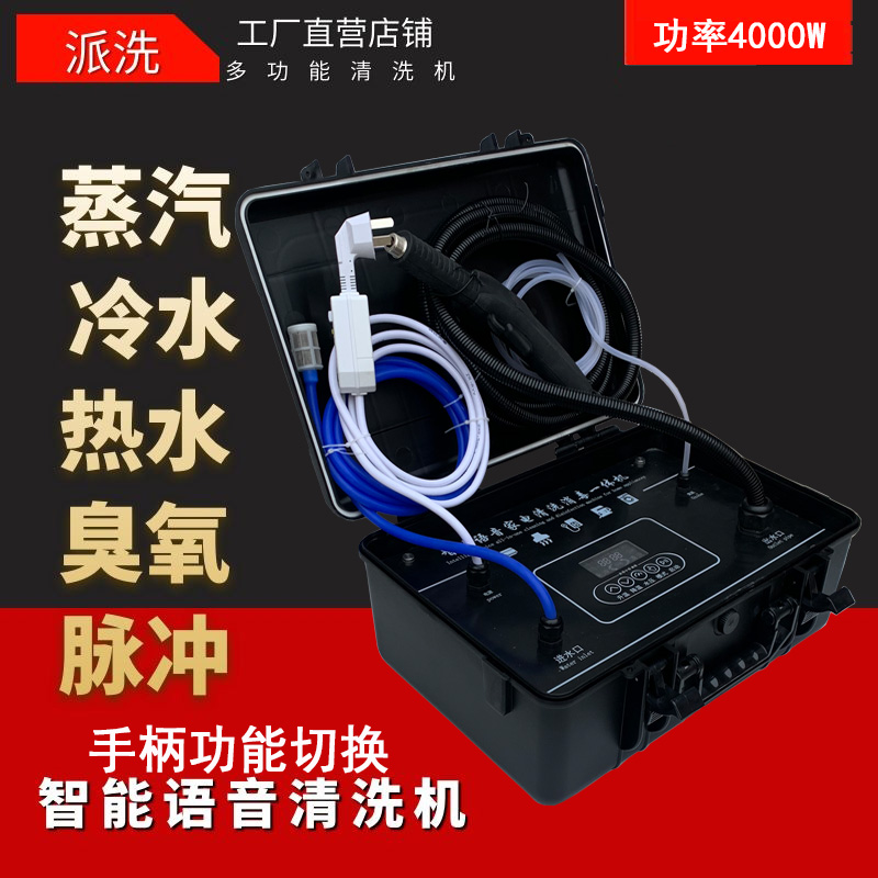 蒸汽清洁机高温高压油烟机多功能家电清洗一体机消毒空调清洗机
