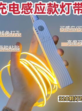 充电款光控人体感应灯带免打孔布线无线自粘衣橱鞋柜装饰氛围灯条