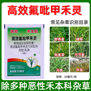 高效氟吡甲禾灵抗性牛筋草芦苇茅草牛筋草油菜盖草能农药除草剂