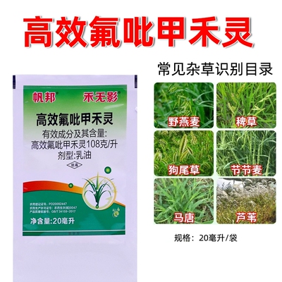高效氟吡甲禾灵盖草能大豆田芦苇一年生禾本科杂草除草剂烂根剂