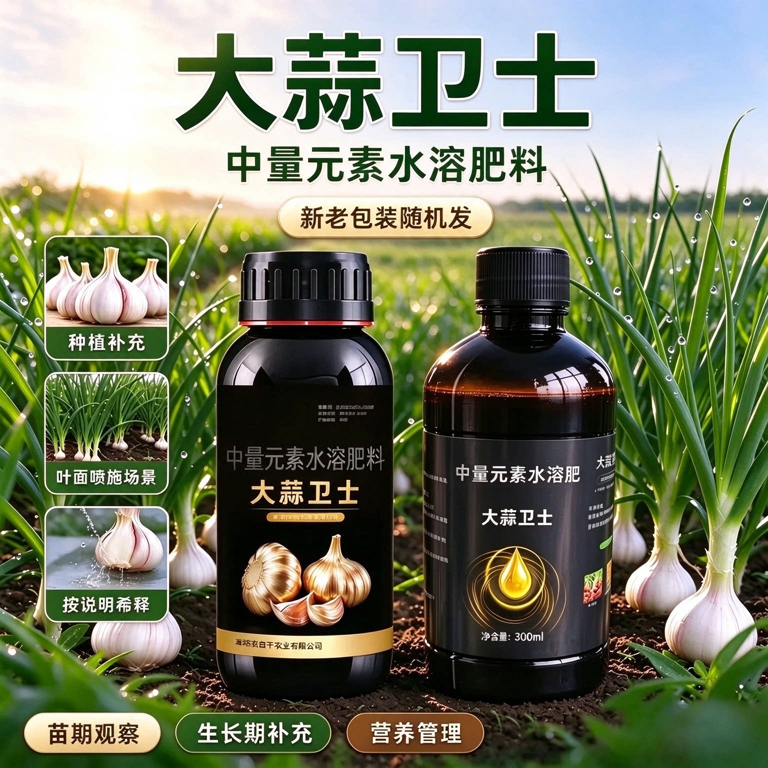 抢！【厂家直发】大蒜卫士叶片肥厚浓绿改善品质大蒜掺混复合肥