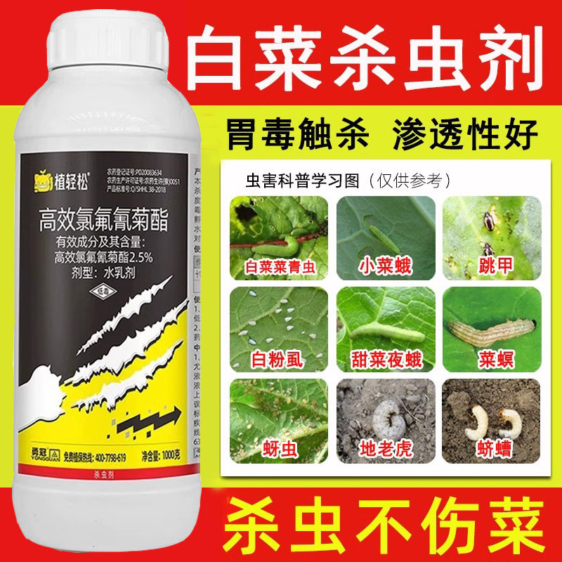 白菜杀虫剂高效氯氟氰菊酯地上害虫菜青虫食心虫蚜虫红蜘蛛杀虫药,农用物资,杀虫剂,淘宝优惠券,粉丝福利购,淘宝优惠卷