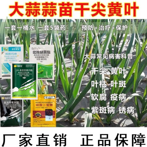 大蒜杀菌剂组合真菌细菌病毒套餐炭疽病白粉病瓜果霜霉病蔬菜杀菌